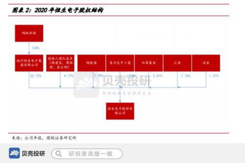 恒生电子 背靠阿里的IT龙头，信息技术咨询服务的革新者